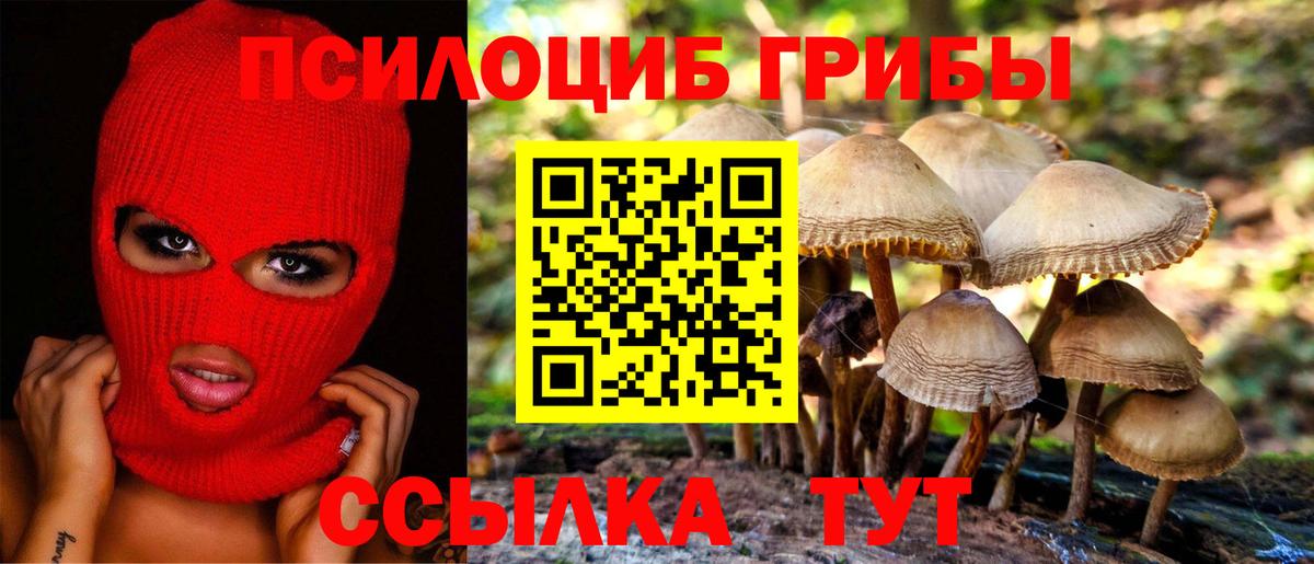 Псилоцибиновые грибы Magic Shrooms Надым
